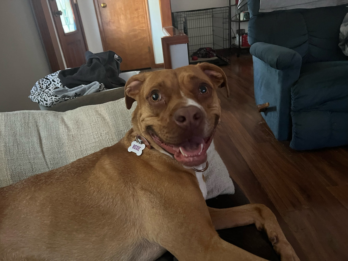 Chicago Game Day Tag – North Side Pinstripe Edition