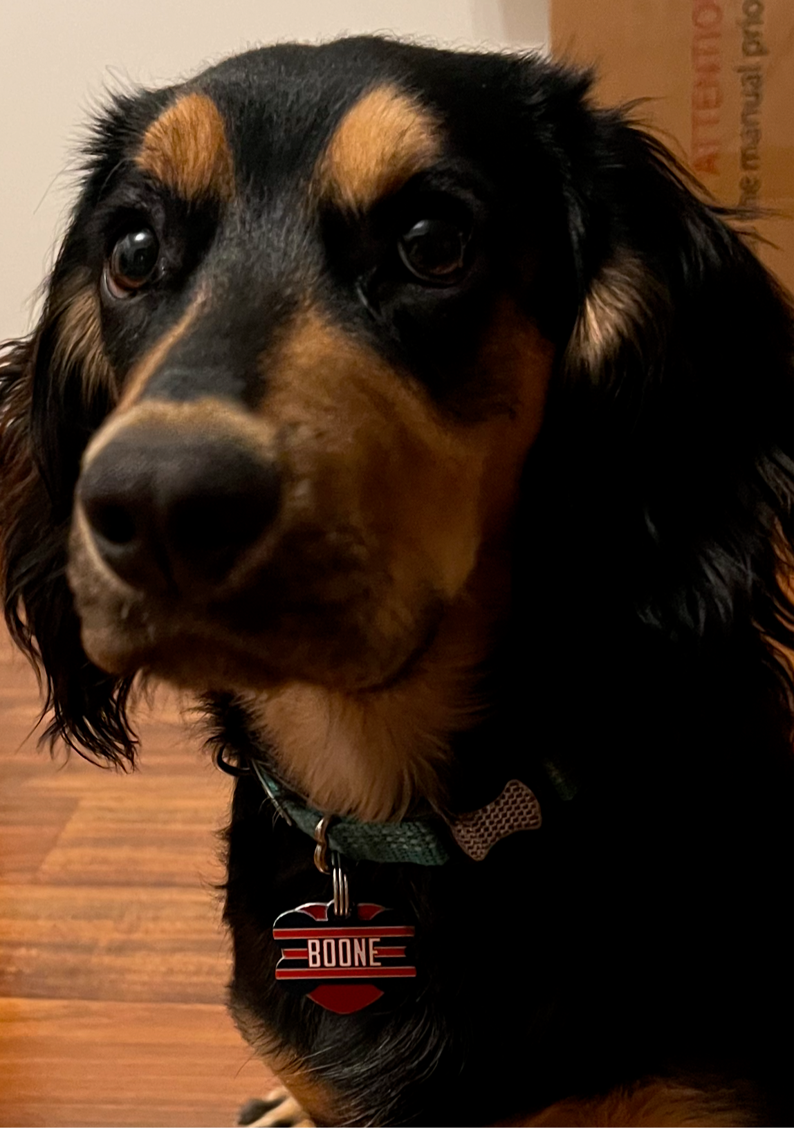 Chicago Game Day Tag – Navy Edition