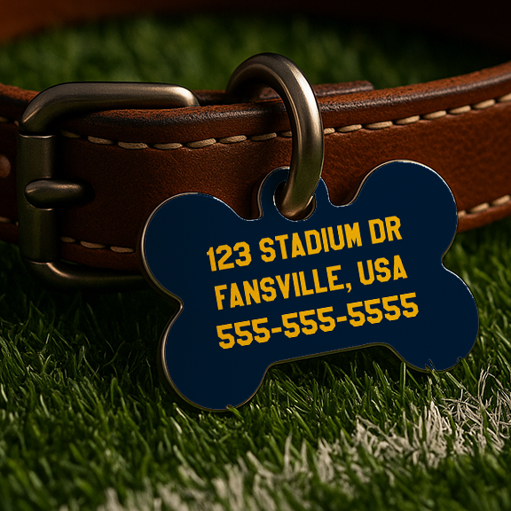 Ann Arbor Game Day Tag – Blue Edition