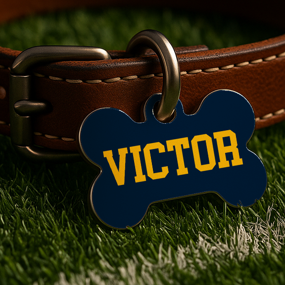 Ann Arbor Game Day Tag – Blue Edition