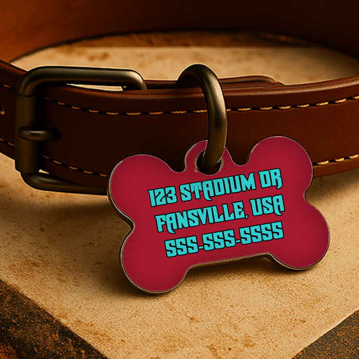 Arizona Game Day Tag – Red & Teal 24 Edition