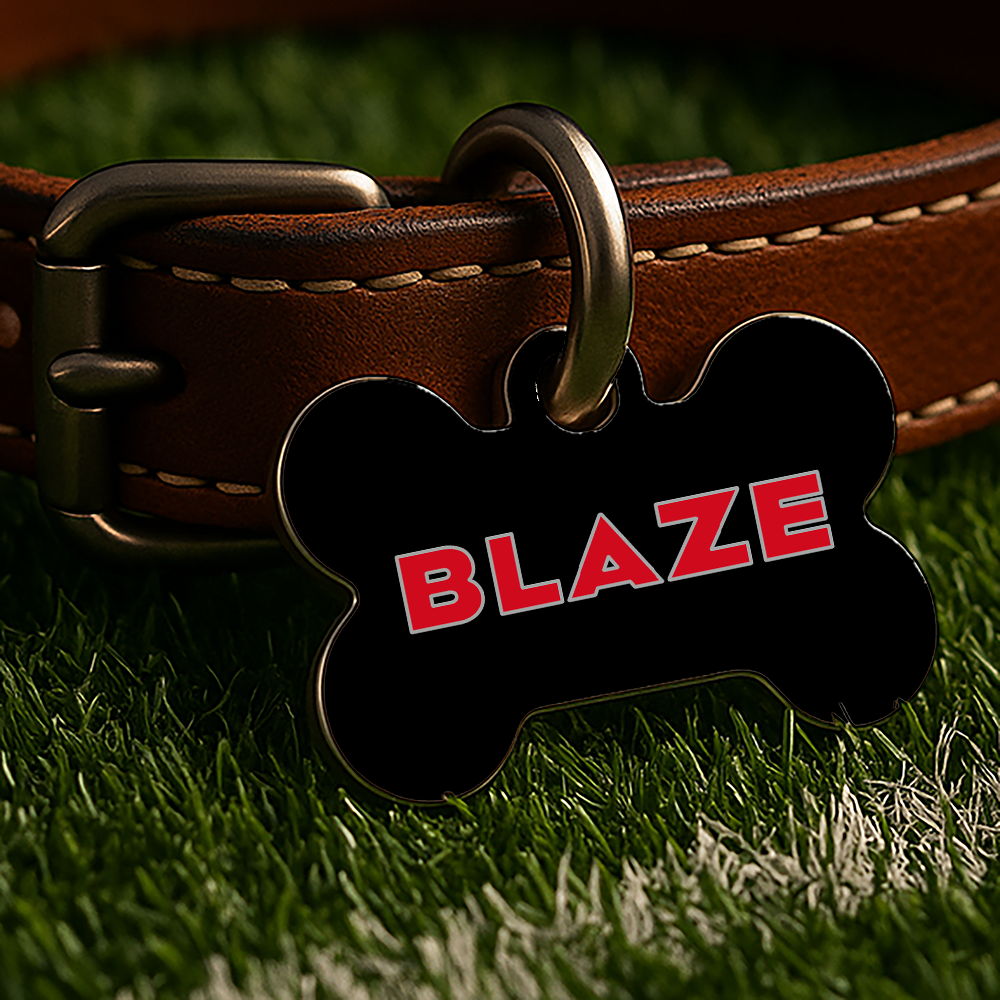 Arizona Game Day Tag – Black Gridiron Edition