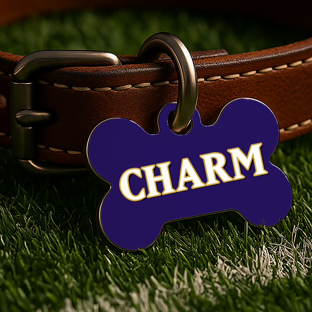 Baltimore Game Day Tag – Purple Gridiron Edition