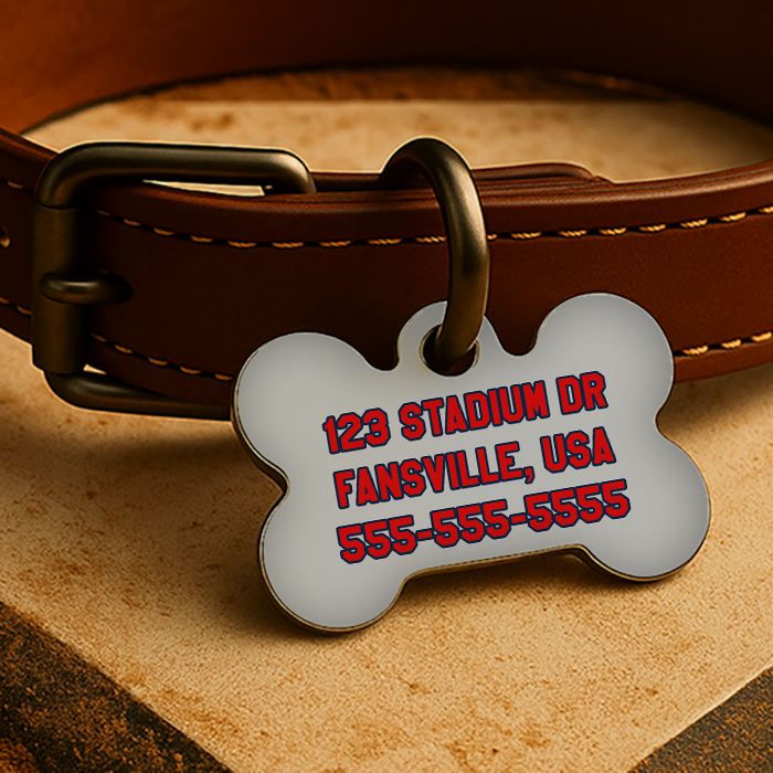 Boston Game Day Tag – Lansdowne Gray Edition