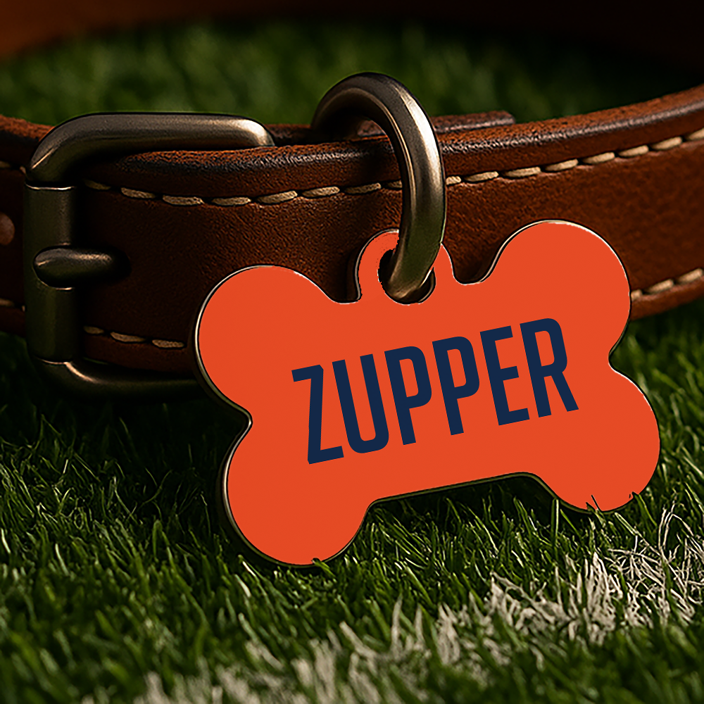 Champaign Game Day Tag - Orange Campus