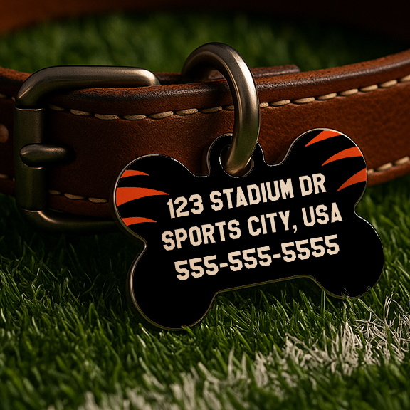 Cincinnati Game Day Tag - Black Edition