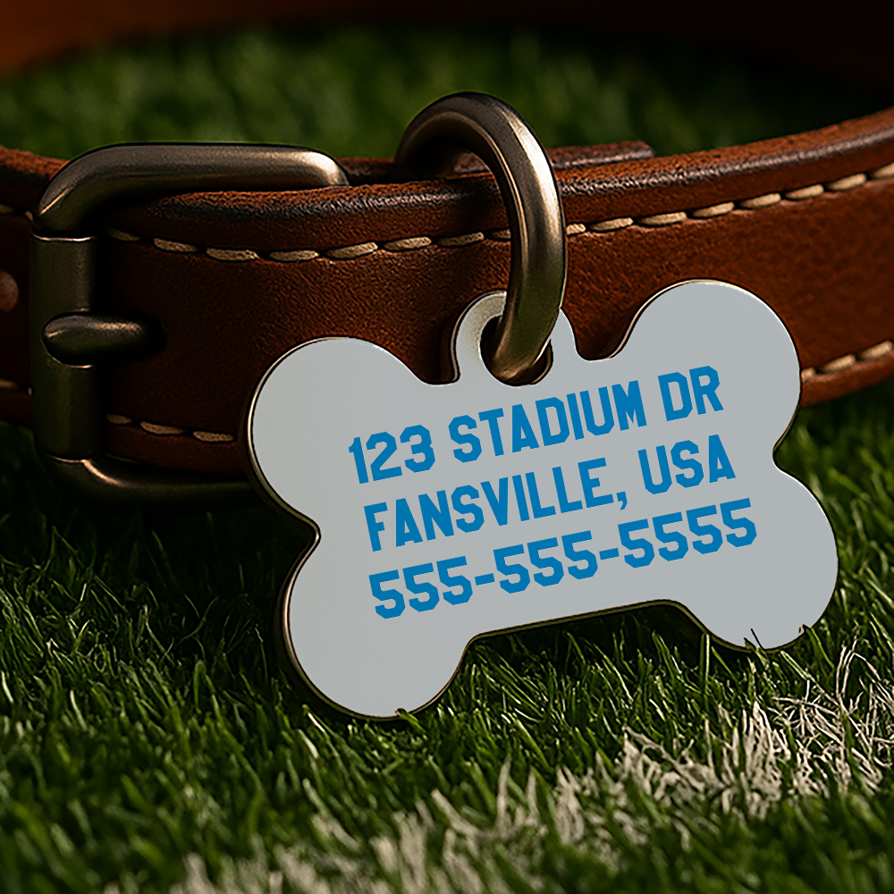 Detroit Game Day Tag – Gray Gridiron Edition