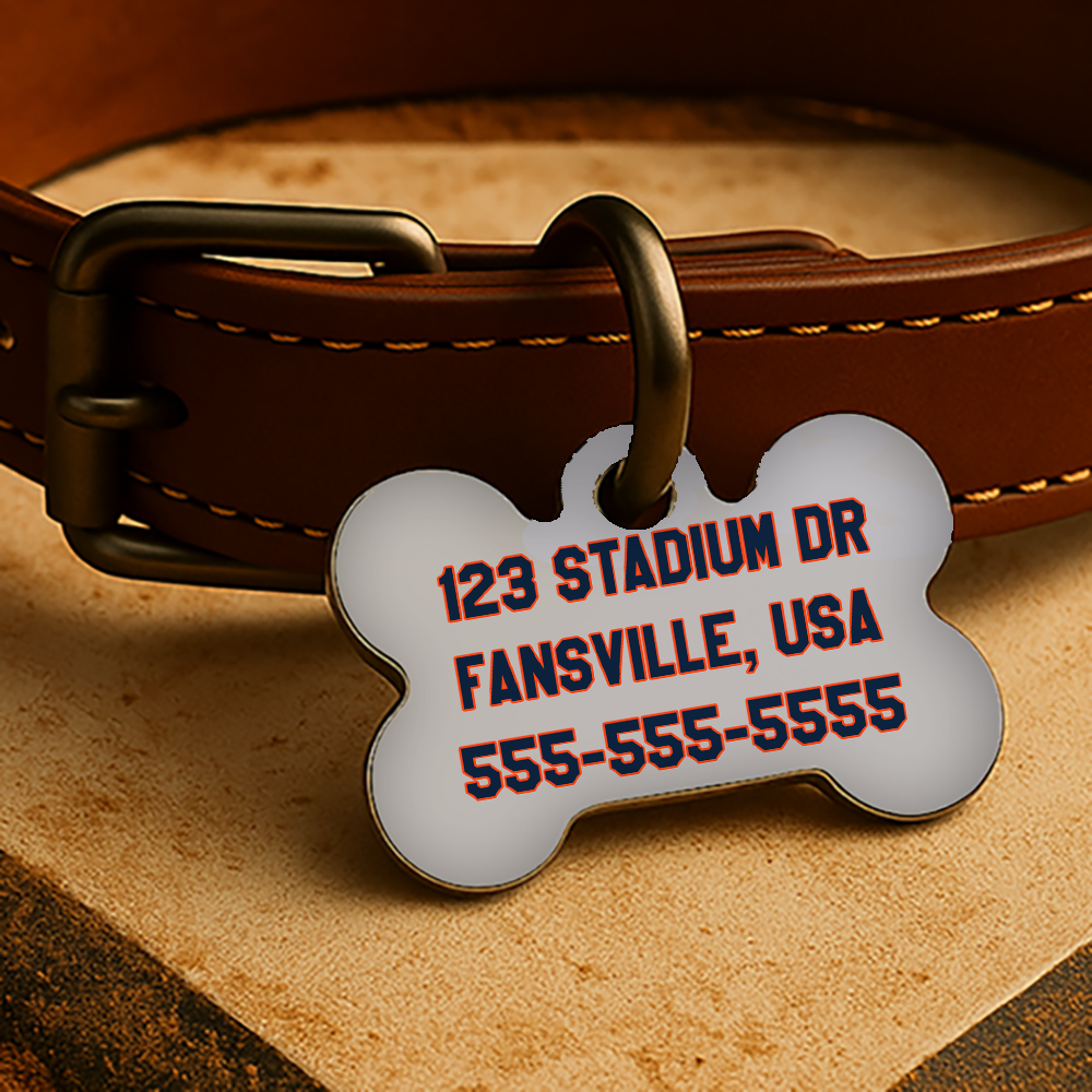 Detroit Game Day Tag - Gray Throwback Diamond