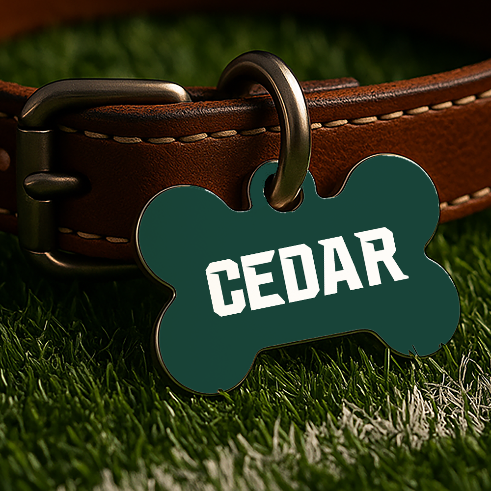 East Lansing Game Day Tag - Green Campus