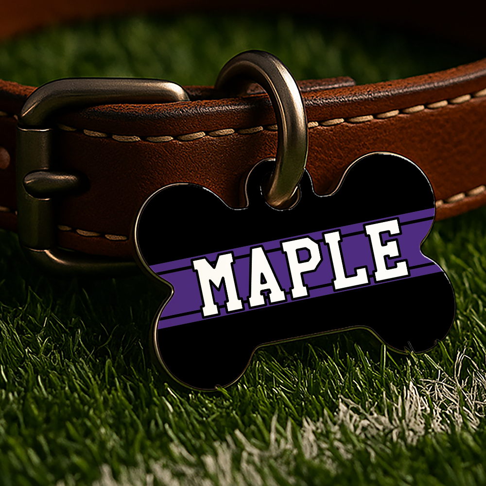 Evanston Game Day Tag - Black Campus