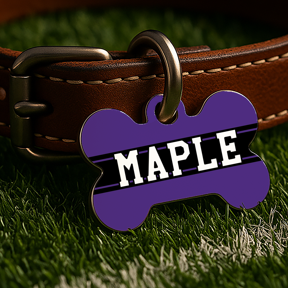 Evanston Game Day Tag - Purple Campus