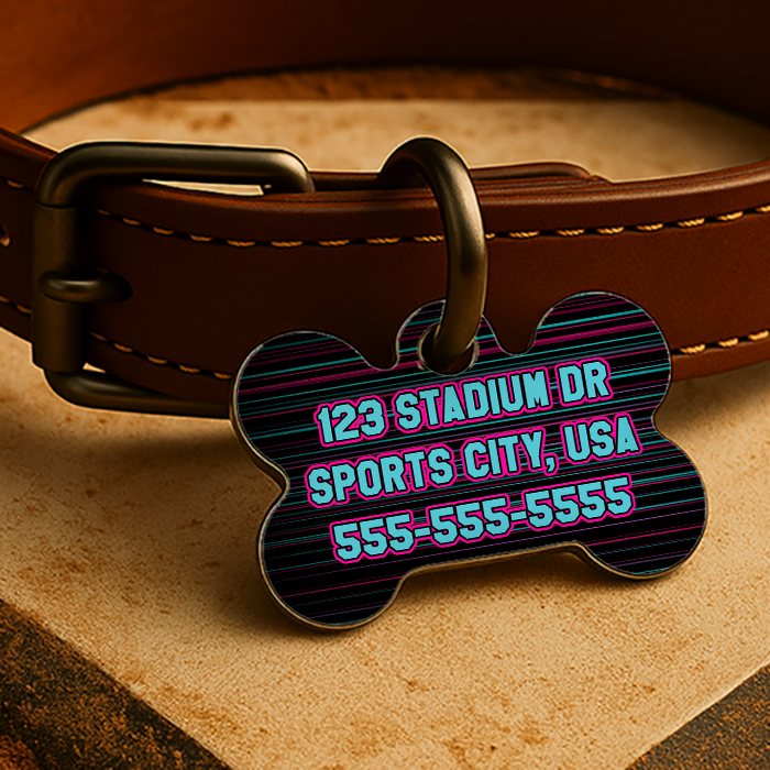 Miami Game Day Tag – City 2025 Edition