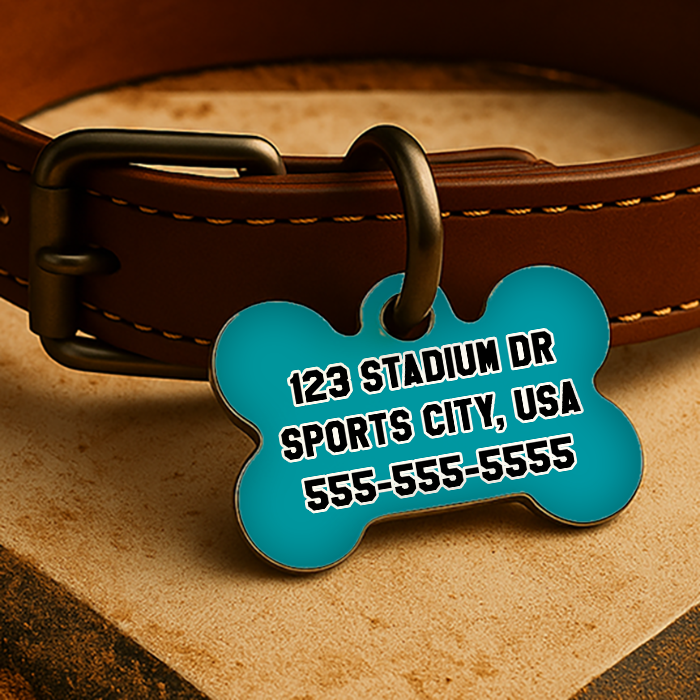 Miami Game Day Tag – Teal Throwback Edition