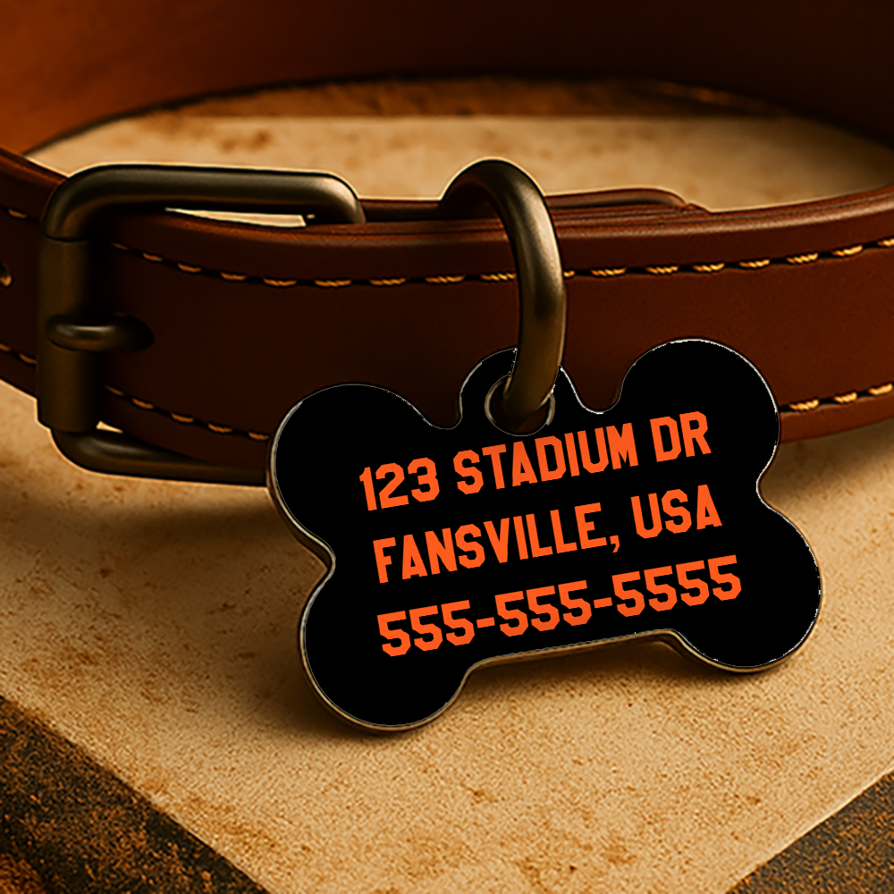 San Francisco Game Day Tag - Black Diamond