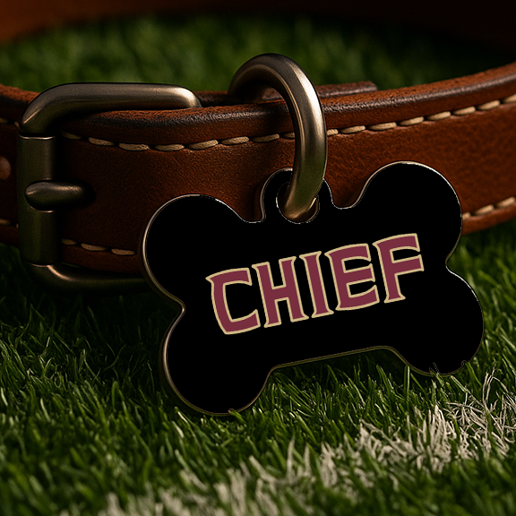 Tallahassee Game Day Tag – Black Edition