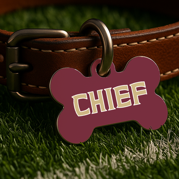 Tallahassee Game Day Tag – Garnet Edition
