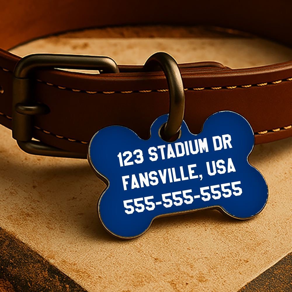 Texas Game Day Tag - Blue Diamond