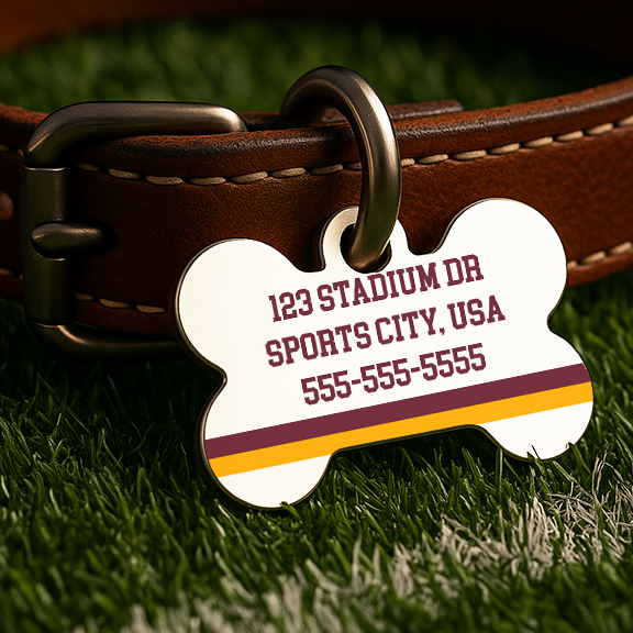 Washington Game Day Tag – Throwback White Edition