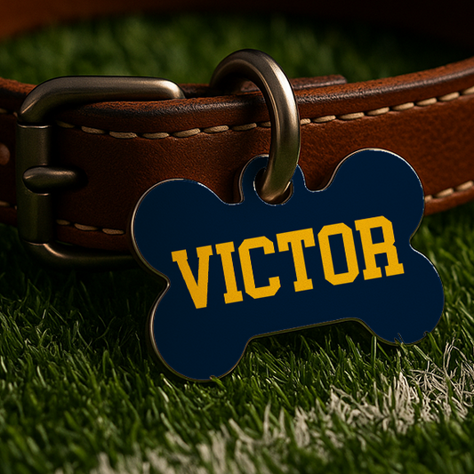 Ann Arbor Game Day Tag – Blue Edition