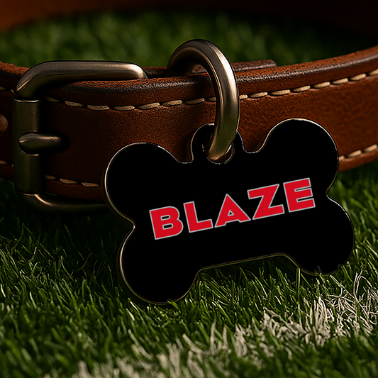Arizona Game Day Tag – Black Gridiron Edition