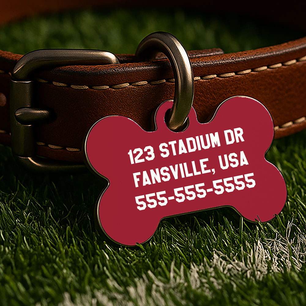 Fayetteville Game Day Tag - Red Campus