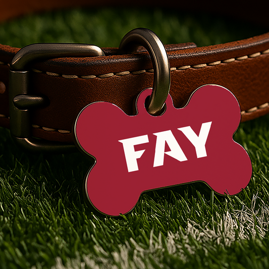 Fayetteville Game Day Tag - Red Campus