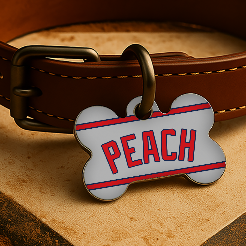 Atlanta Game Day Tag - Gray Diamond