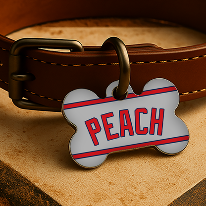 Atlanta Game Day Tag - Gray Diamond