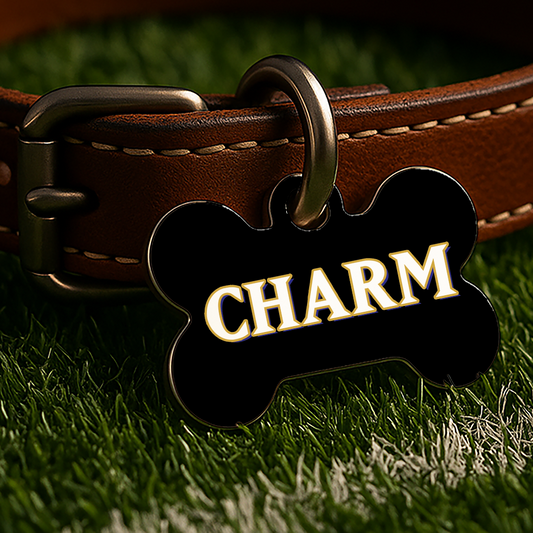 Baltimore Game Day Tag – Black Gridiron Edition