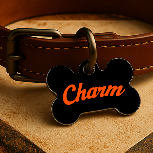 Baltimore Game Day Tag - Black Diamond