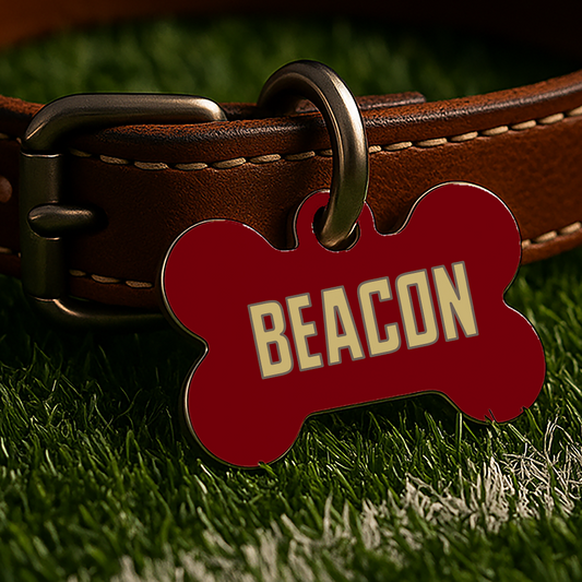 Boston Game Day Tag - Red Campus