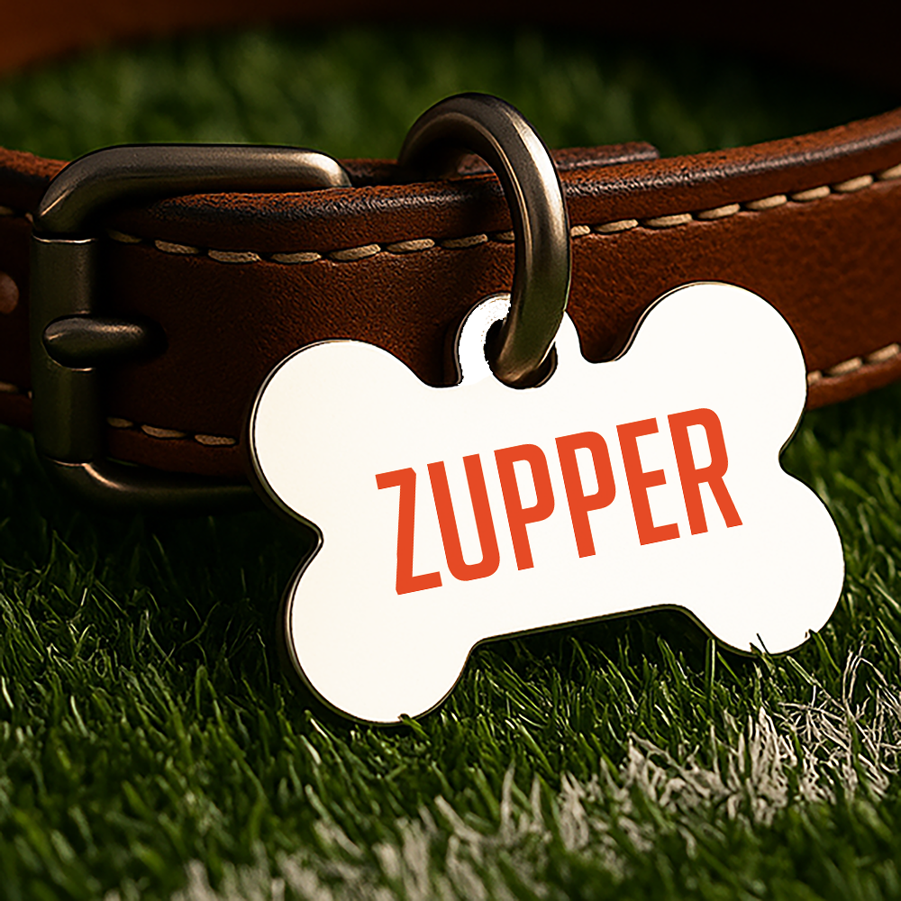 Champaign Game Day Tag - White Campus