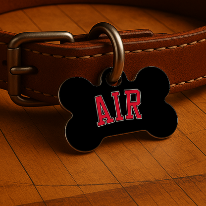 Chicago Game Day Tag - Black Courtside