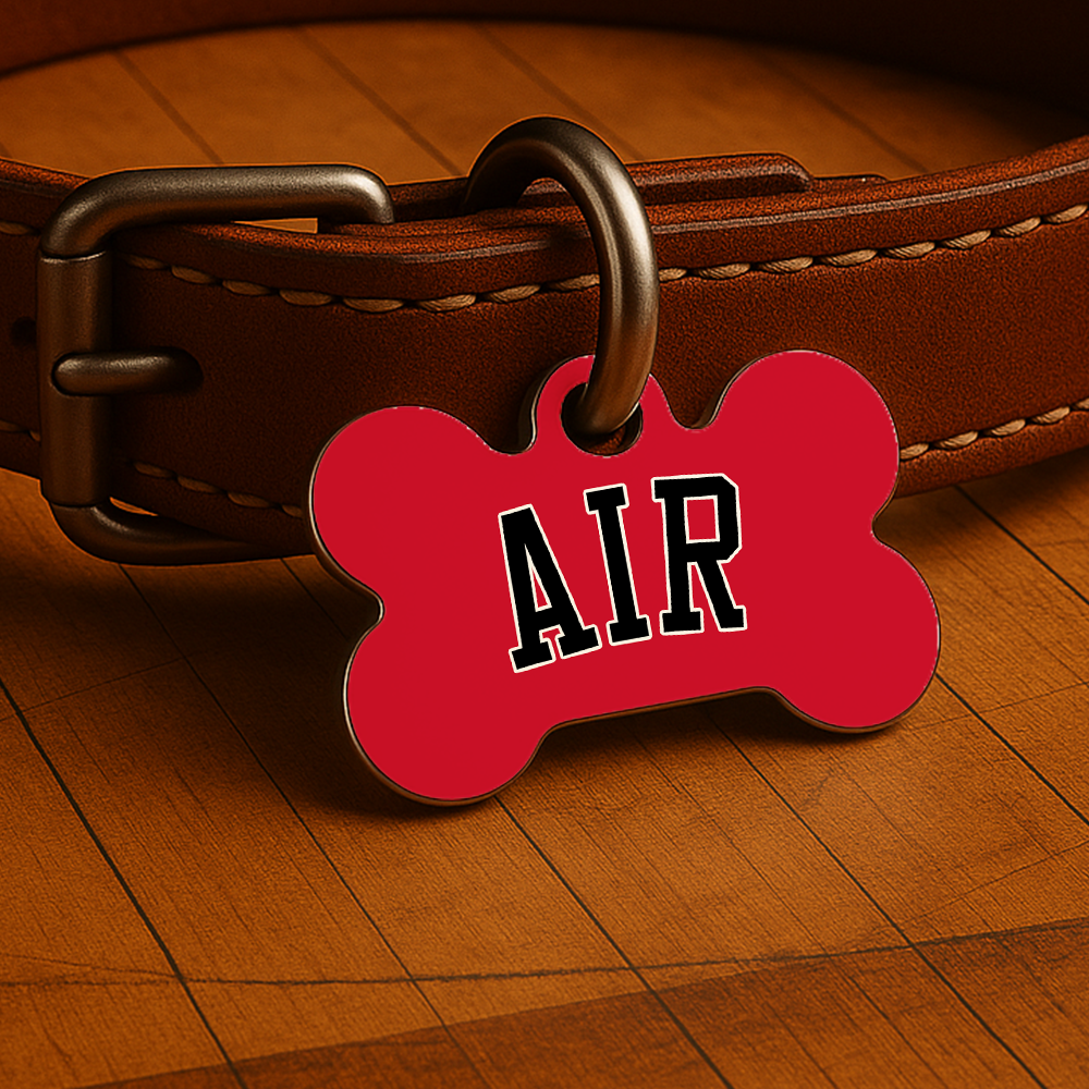 Chicago Game Day Tag - Red Courtside