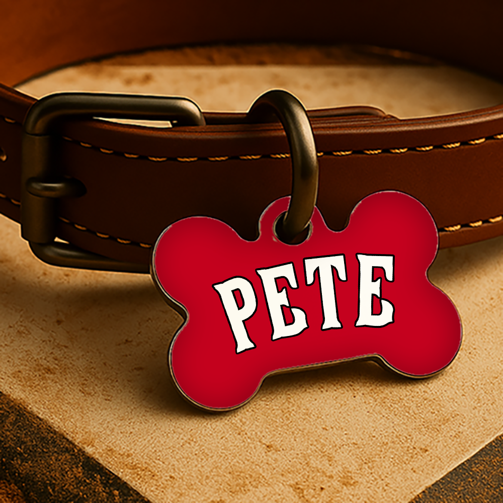 Cincinnati Game Day Tag - Red Diamond