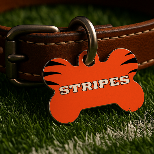 Cincinnati Game Day Tag - Orange Edition