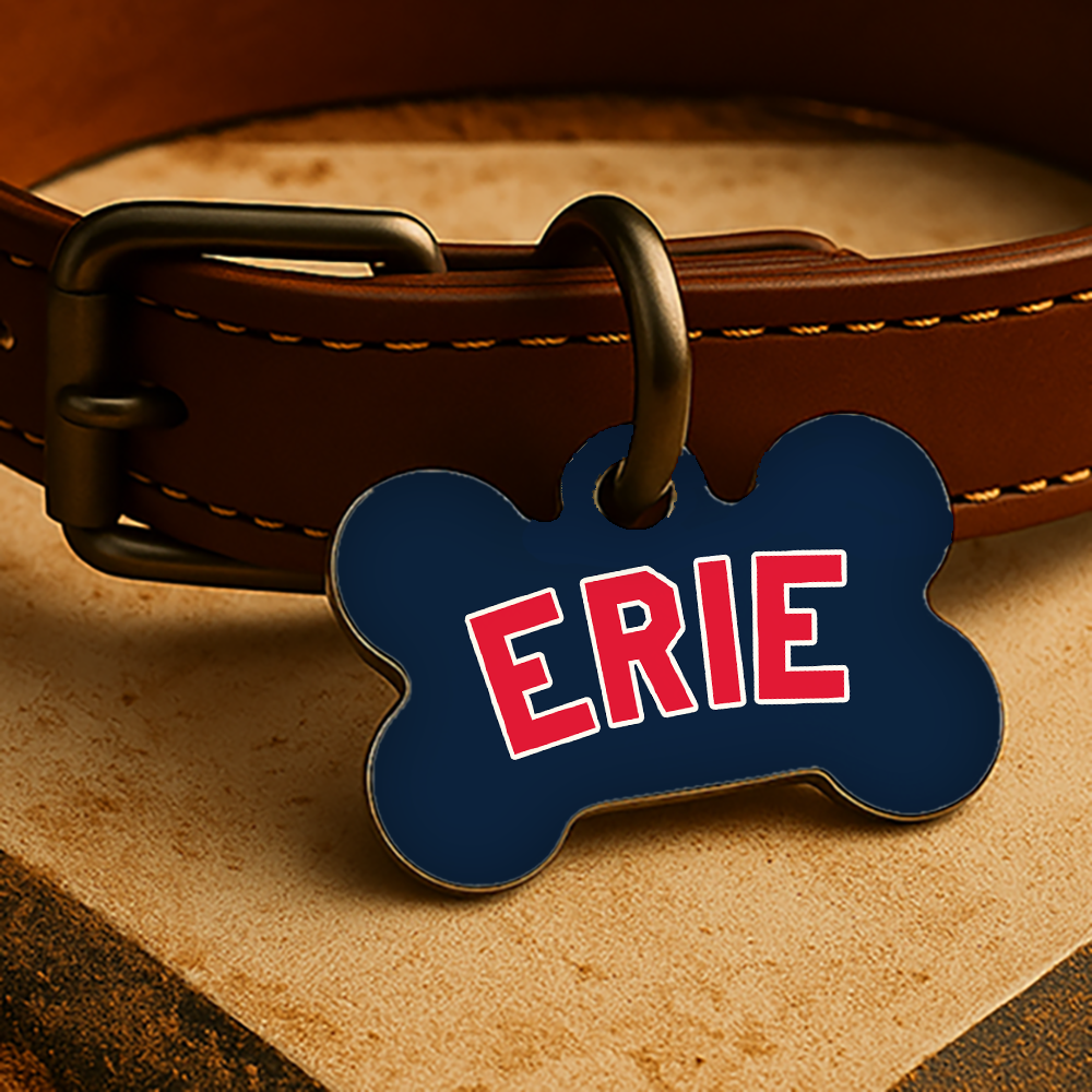 Cleveland Game Day Tag - Blue Diamond