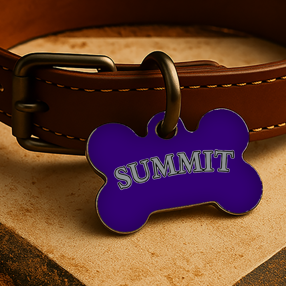 Colorado Game Day Tag - Purple Diamond