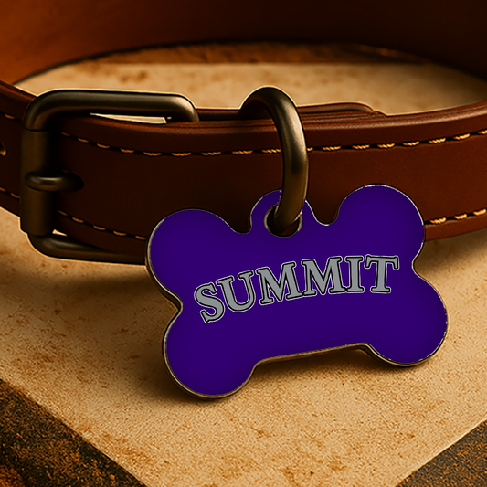 Colorado Game Day Tag - Purple Diamond