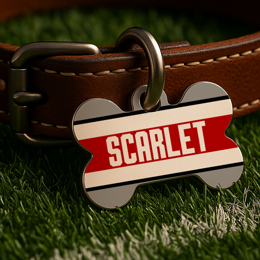 Columbus Game Day Tag – Scarlet & Gray Edition