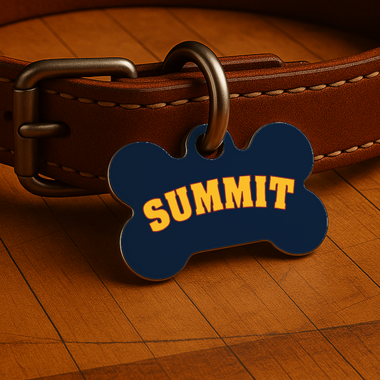 Denver Game Day Tag - Blue Courtside