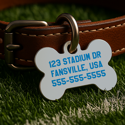 Detroit Game Day Tag – Gray Gridiron Edition