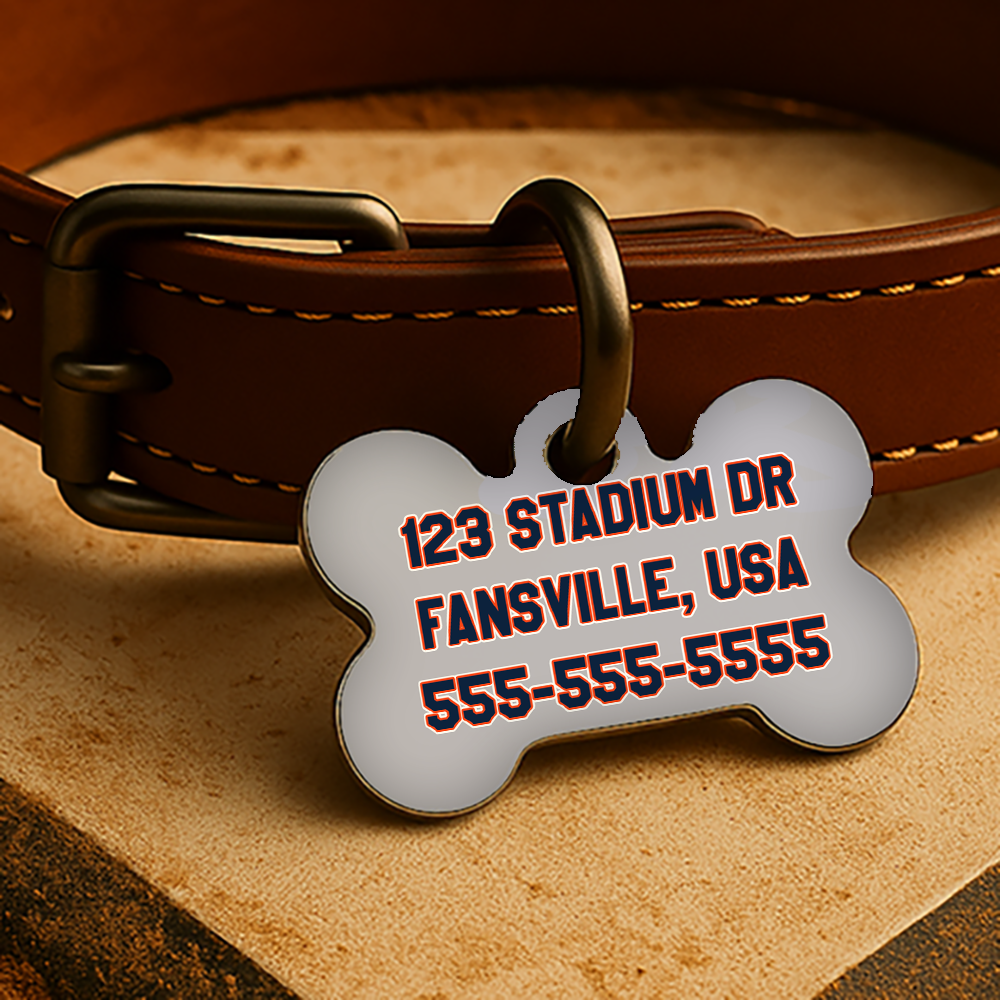 Detroit Game Day Tag - Gray Diamond