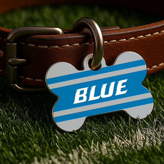 Detroit Game Day Tag – Gray Gridiron Edition