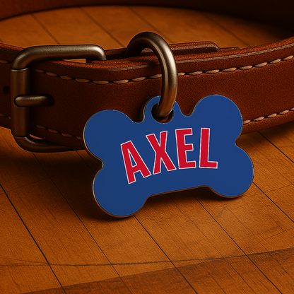 Detroit Game Day Tag - Blue Courtside