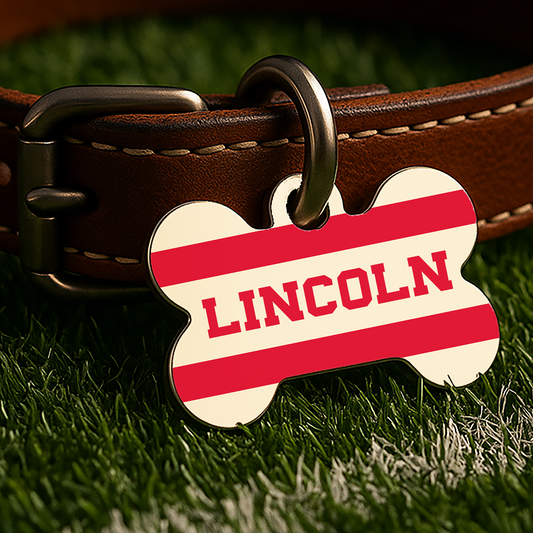 Lincoln Game Day Tag - Cream Campus