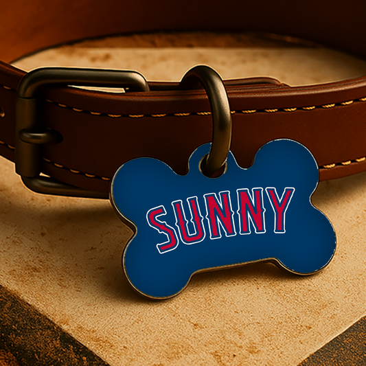 Los Angeles Game Day Tag - Blue AL Diamond