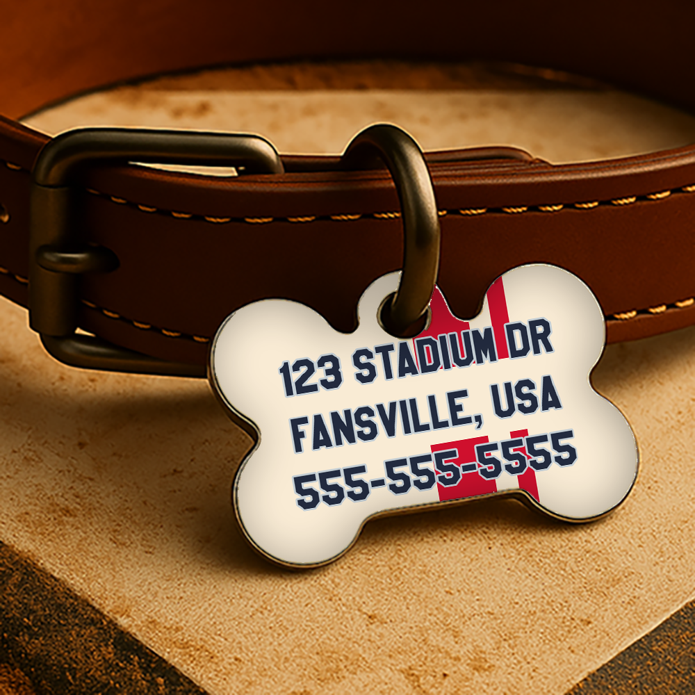 Los Angeles Game Day Tag - City AL Diamond