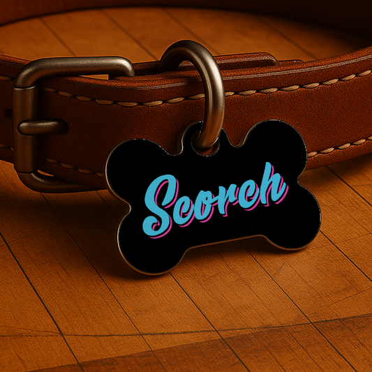 Miami Game Day Tag - Vice Black Courtside