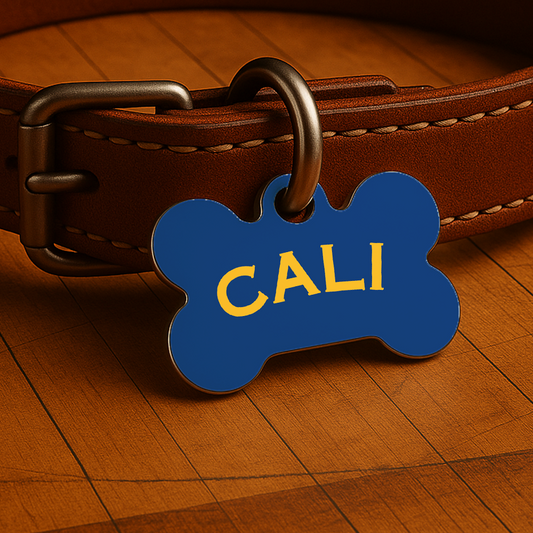 Bay Area Game Day Tag - Blue Courtside